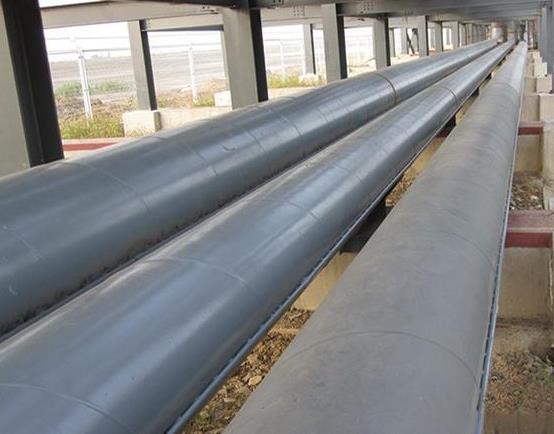 16721100087485.jpg 電伴熱帶.jpg